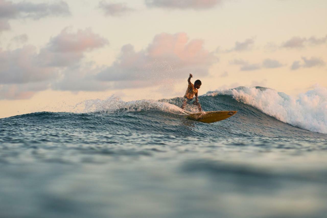 Layback Boutique Surf & Yoga Camp Sri Lanka Vandrarhem Weligama Exteriör bild